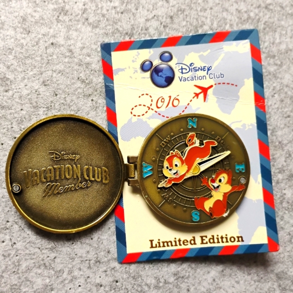 Chip N Dale DVC Member Pin